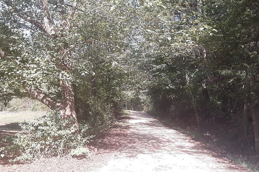 2nd image of 120 Bumpy Hill Dr