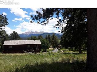107 Stephanie Pl, Divide, CO 80814