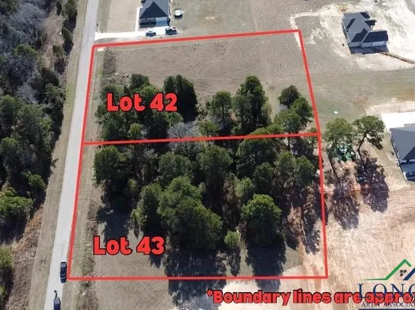 LOT 43 Meadows, Tatum, TX 75691