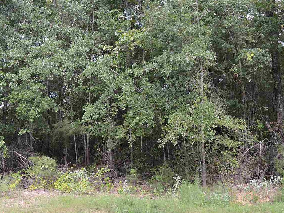 2nd image of 3402 Oak Hill Trl