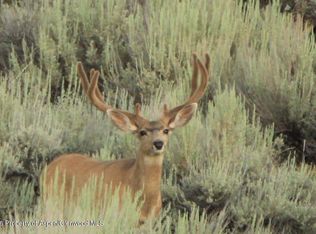 40 Tbd Hwy, Craig, CO 81625