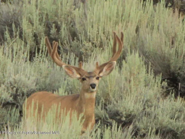 40 Tbd Hwy, Craig, CO 81625