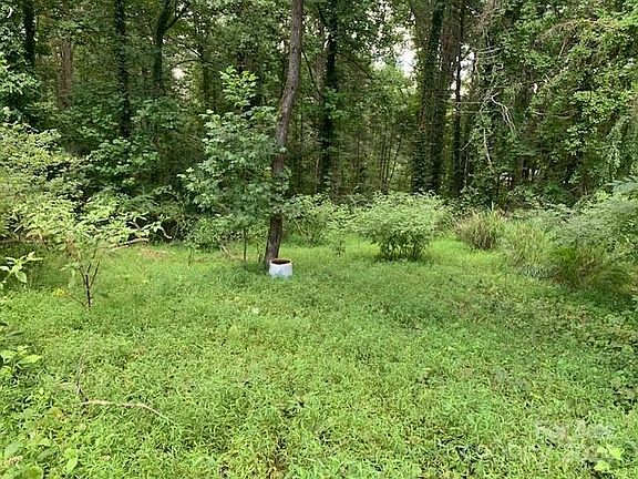 5th image of 230 Kirkwood Hill Ln