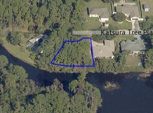 11 Katsura Tree Pl, Palm Coast, FL 32164
