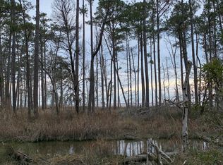 LOT 6 State Highway 1902 Off Dr, Aurora, NC 27806