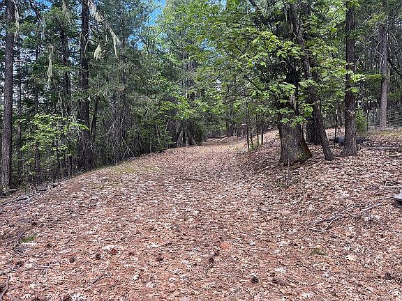 5th image of 351 Upper Moore Gulch Rd