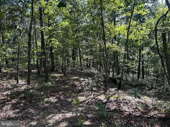 Gun Barrel Ln, Winchester, VA 22603