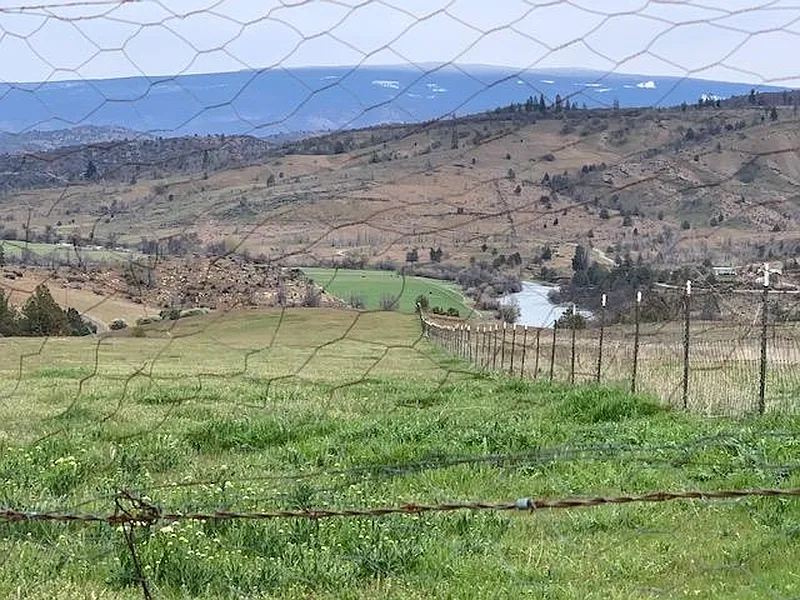 Thumbnail 16