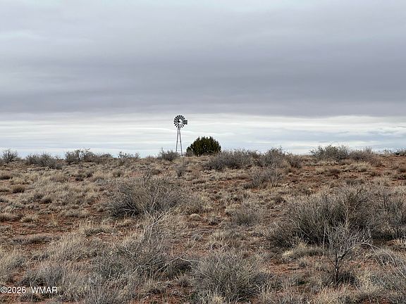2nd image of 9594 Buckskin Trl