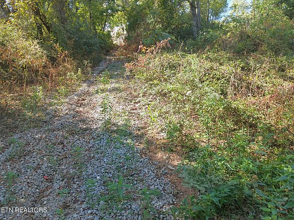 3rd image of 181 Whitehall Rd