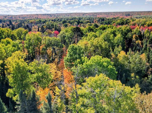 Horoscope Rd, Pelkie, MI 49958