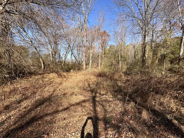 5579 Petigap Rd Lot 2, Morrison, TN 37357