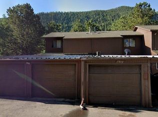 2919 Riverside Dr, Idaho Springs, CO 80452