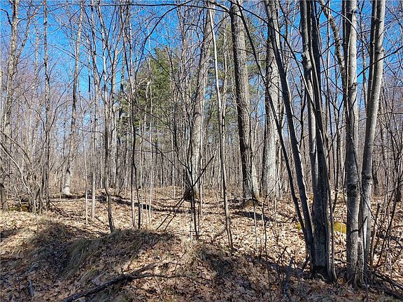4th image of Lot 0 Grouse Lane