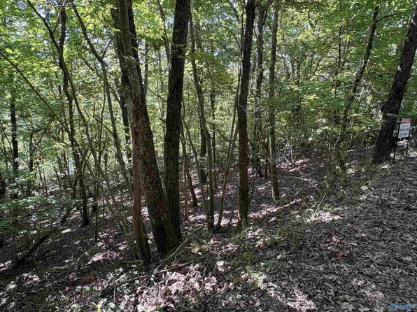 1500 County Road 103 Lot 81, Mentone, AL 35984