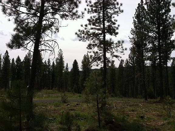 3rd image of LOT 8 W Pine Dr