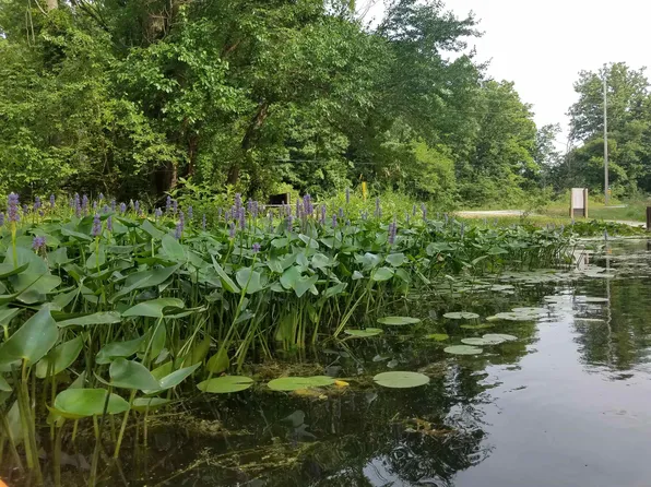 TRACT 19 Lane 206 Fox Lk, Angola, IN 46703