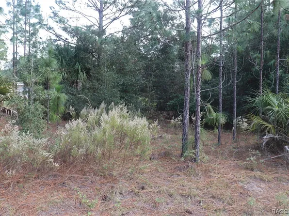 8633 N Sanfilippo Loop, Crystal River, FL 34428