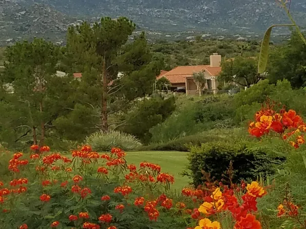 (undisclosed Address), Saddlebrooke, AZ 85739