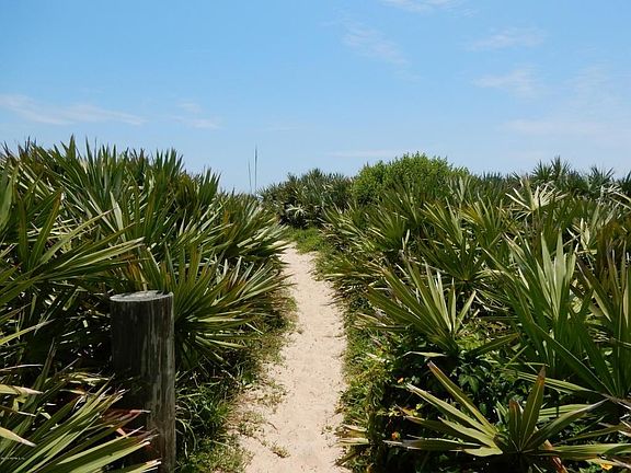 Path From Street To Beach-2741