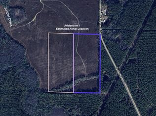 PARCEL K&l Buck Tyner Rd, Laurel Hill, FL 32567