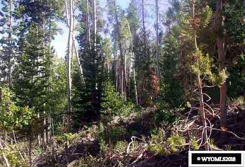 1st image of 671 Tokewanna Dr