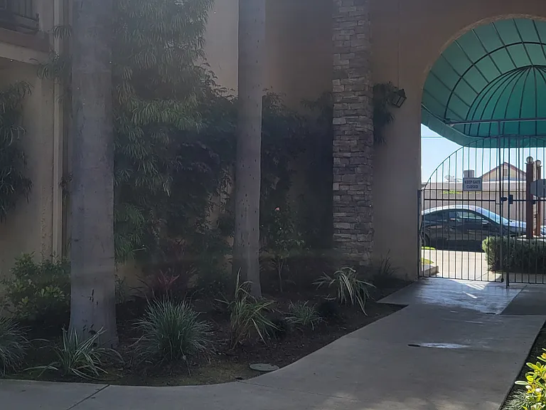 Palm Court Apartments — Photo 10