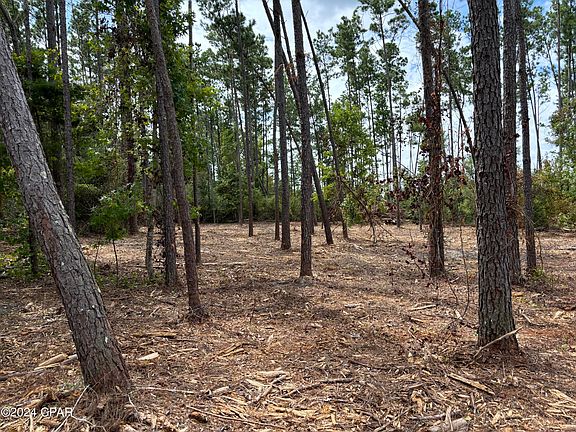 2nd image of Northwood Dr #38