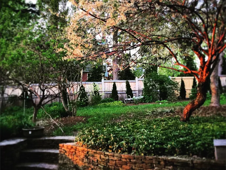 Behind studio: stone steps up to rear yard and flowering plum tree