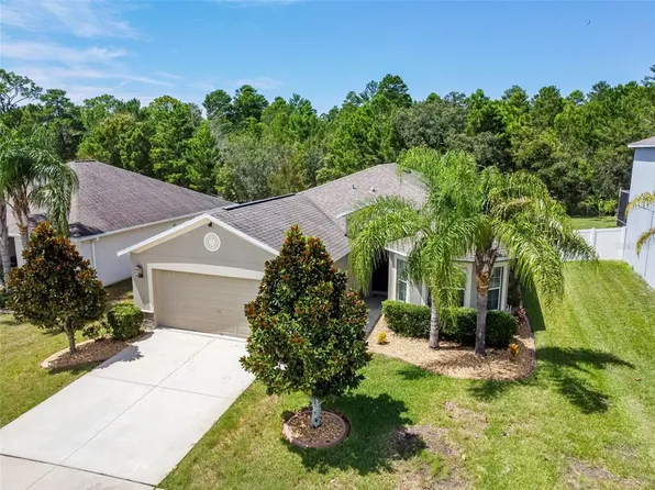 18313 Waydale Loop, Hudson, FL 34667