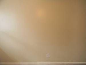 5th image of 703 Willora St