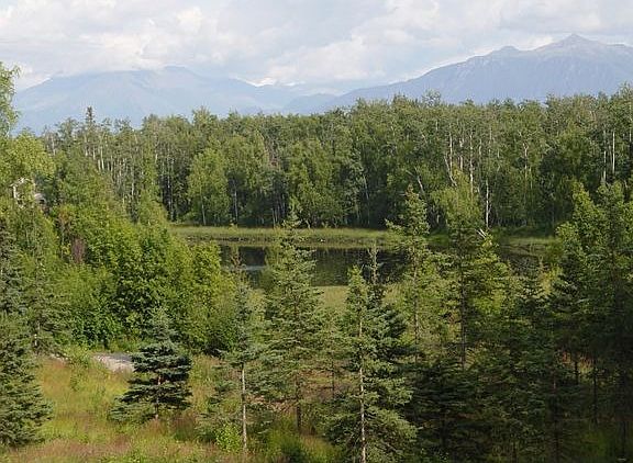 Vew of lake from upper deck