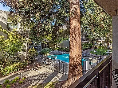 181 Del Medio Ave #207 — Photo 11