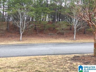 3655 Morgans Run Pkwy Lot 50, Bessemer, AL, 35022