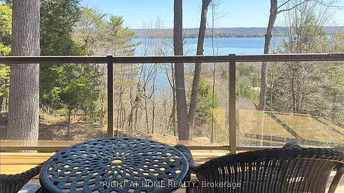 13 Tree Tops Ln #202 Photo 1
