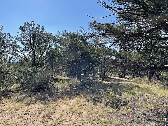 2nd image of 11175 County Road 255