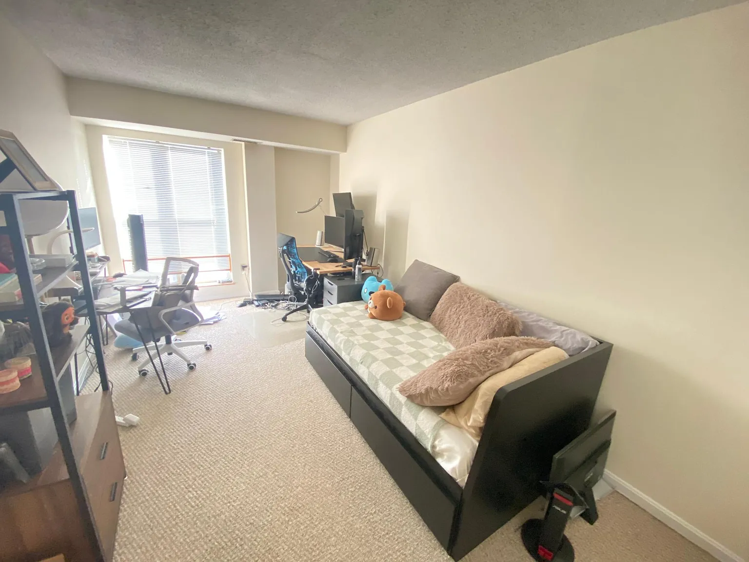 2 bed, $3,900 — Photo 4