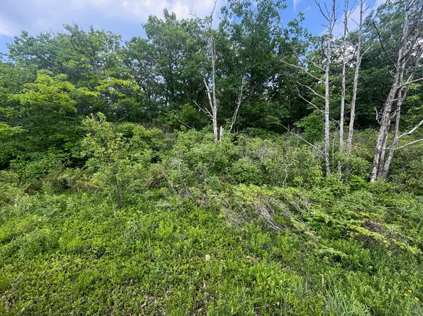 Nhn Highland Pines Rd, Presque Isle, MI 49777