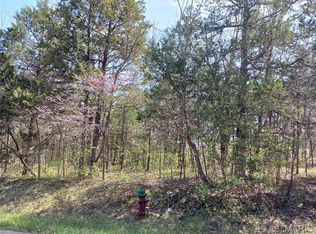 0 S Lafitte Dr, Bonne Terre, MO 63628