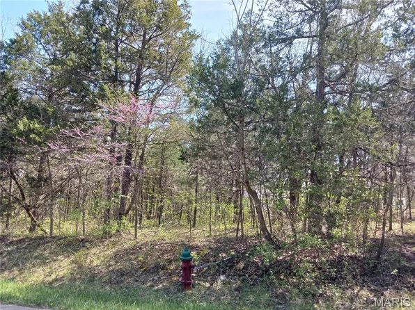 0 S Lafitte Dr, Bonne Terre, MO 63628