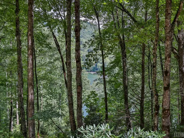 TBD Guise Lane, Cashiers, NC 28717