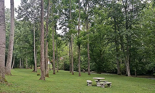 Deer Run Apartments — Photo 3