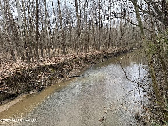 4th image of 157 Eulogy Rd