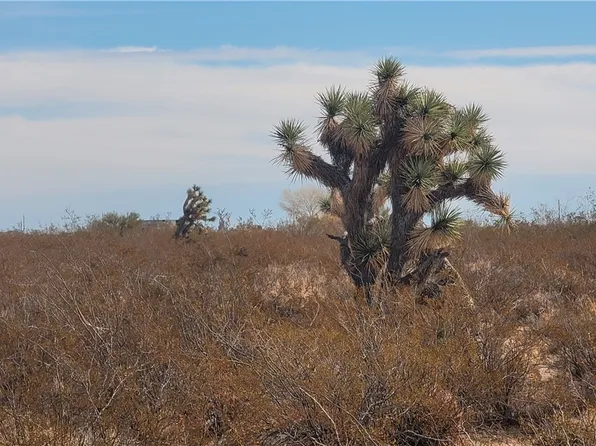 207-01-042 W Silver Drive, Yucca, AZ 86438
