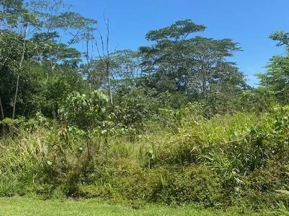 Aweoweo St Lot 256, Pahoa, HI 96778