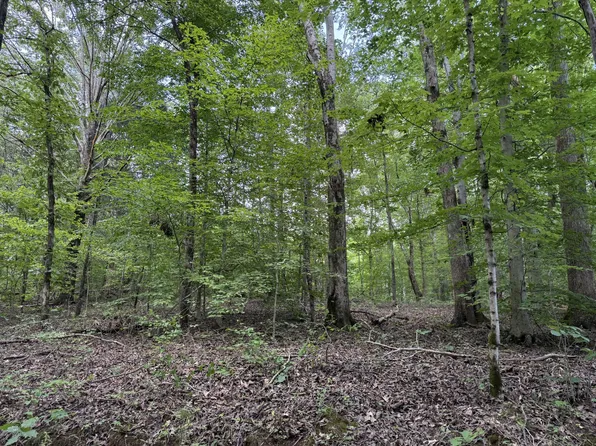 995 Hurricane Creek Rd, Stewart, TN 37175