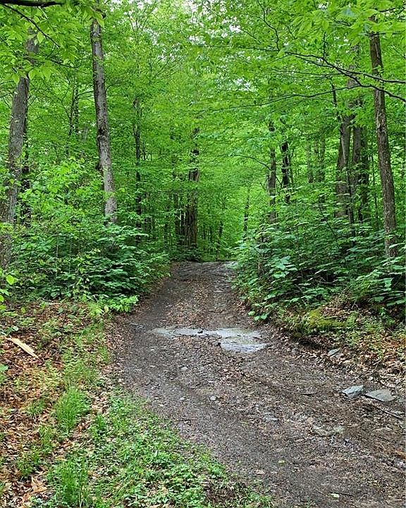 2nd image of Cox Rd