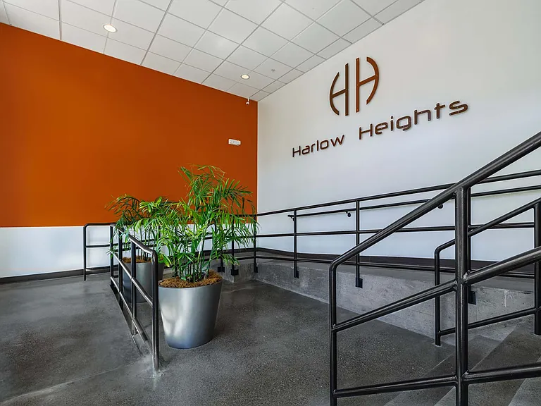 Harlow Heights — Photo 11