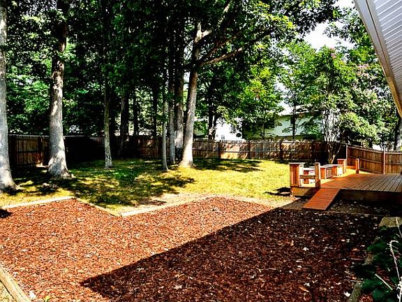 Patio & Deck, Backyard