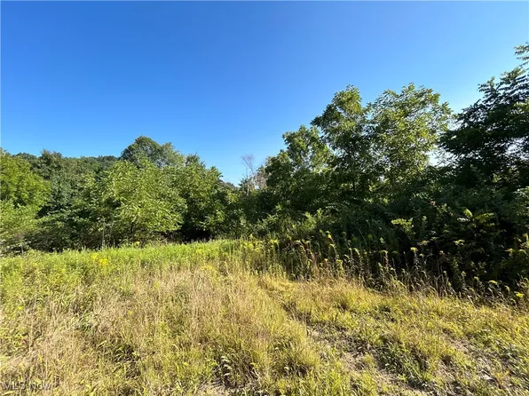 Whiskey Run Rd, Quaker City, OH 43773